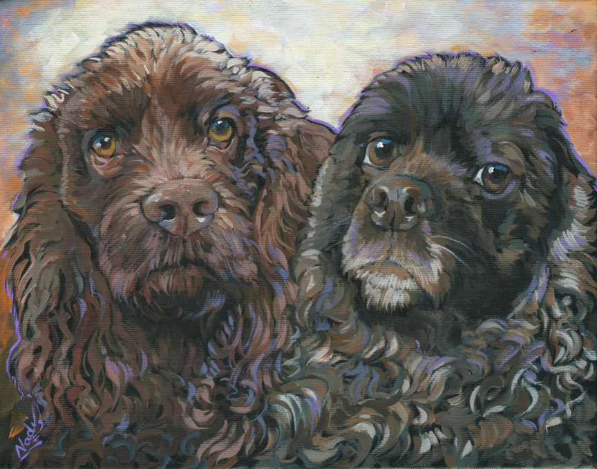 NS – Dogs, Cocker Spaniel – 19-35 Grizzle and Mudds 14×11 © Nadi Spencer