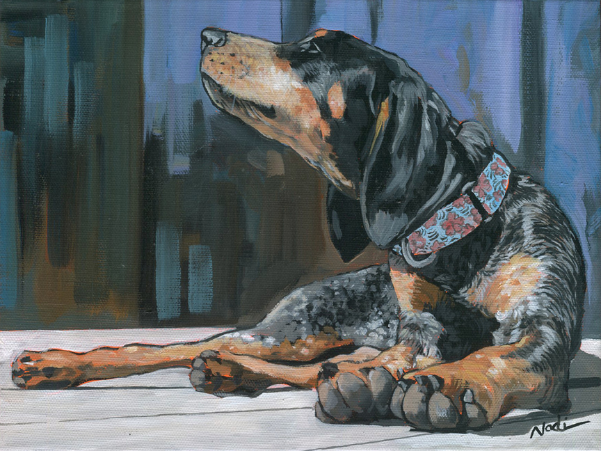 NS – Dogs, Coonhound – 20-24 Bougie 9×12 © Nadi Spencer