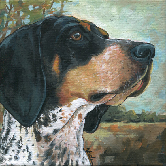 NS – Dogs, Coonhound – 20-98 Pepper 10×10 © Nadi Spencer