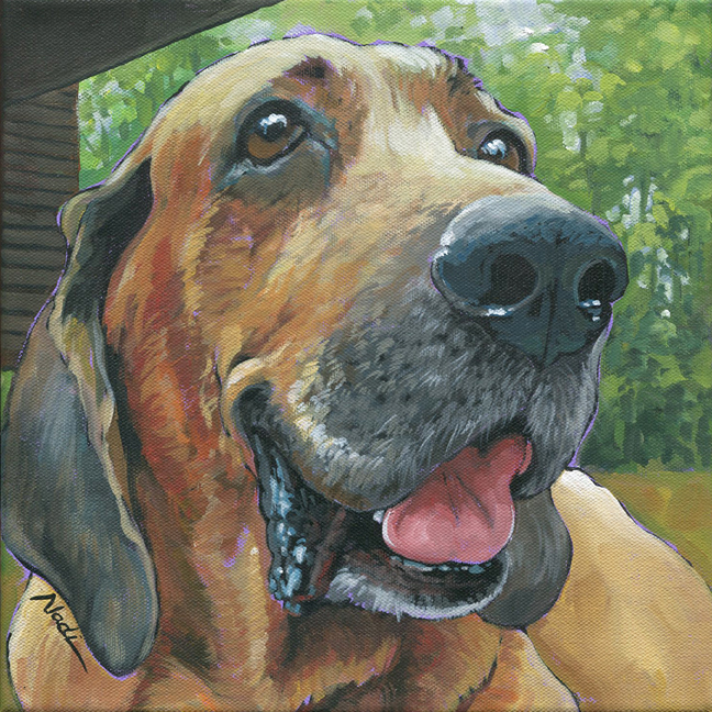 NS – Dogs, Coonhound – 21-242 Babypee 10×10 © Nadi Spencer