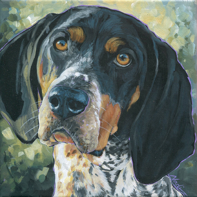 NS – Dogs, Coonhound – 21-247 Pepper 10×10 © Nadi Spencer