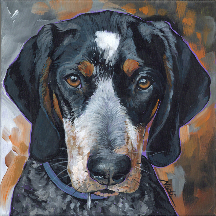 NS – Dogs, Coonhound – 23-110 Coon 10×10 © Nadi Spencer