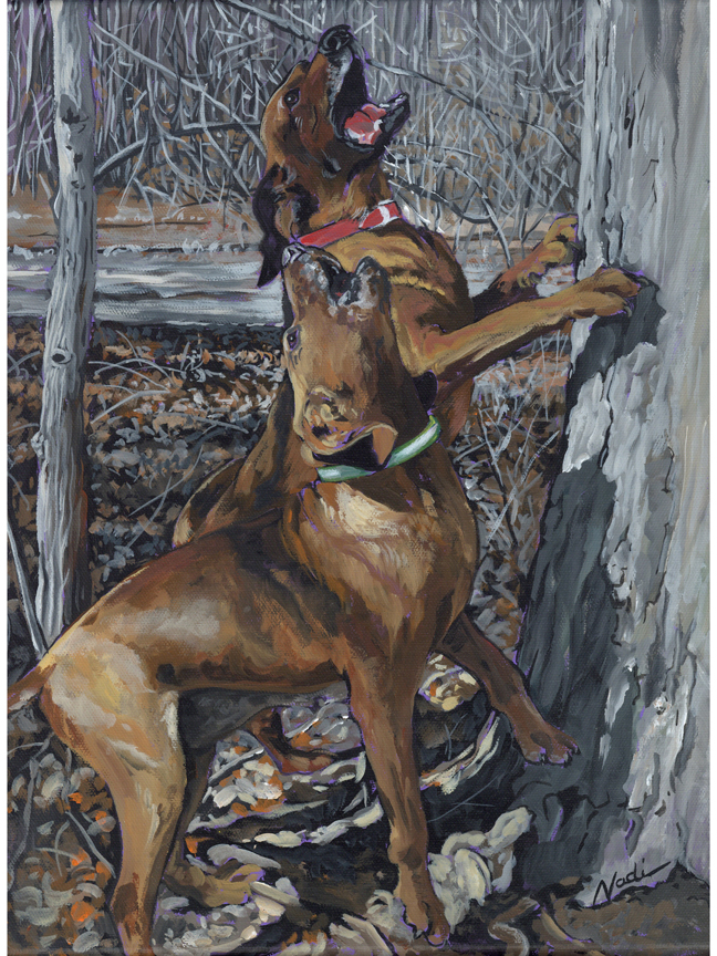 NS – Dogs, Coonhound – 23-111 Coonhounds 16×12 © Nadi Spencer