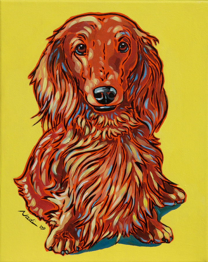 NS – Dogs, Dachsund, Long-Haired – 09-4 Long-haired Dachshund 12×10 © Nadi Spencer