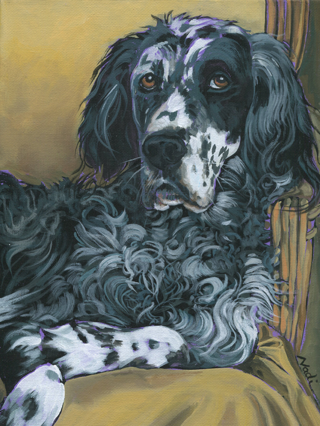NS – Dogs, English Setter – 18-135 Sparrow 12×9 © Nadi Spencer