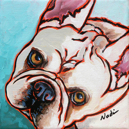 NS – Dogs, French Bulldog – 11-100 Cochon 6×6 © Nadi Spencer