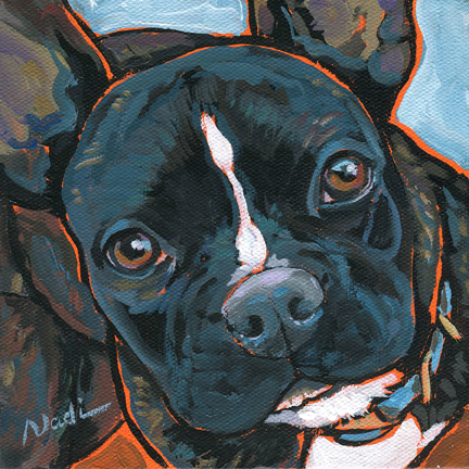 NS – Dogs, French Bulldog – 13-92 Mico 6×6 © Nadi Spencer