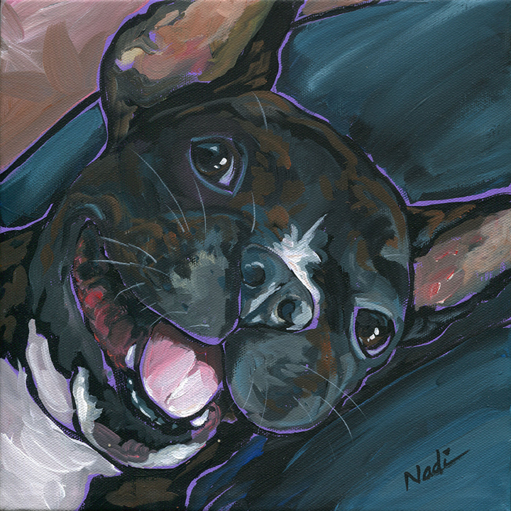 NS – Dogs, French Bulldog – 14-149 Webster 10×10 © Nadi Spencer