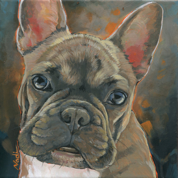 NS – Dogs, French Bulldog – 20-55 Hank 10×10 © Nadi Spencer