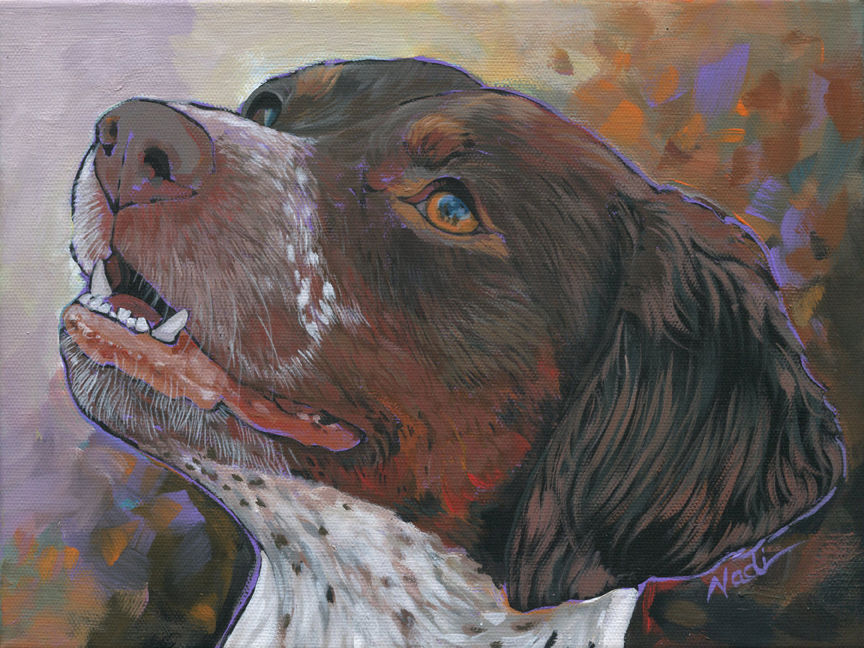 NS – Dogs, German Short Haired Pointer – 19-347 Rice 12×9 © Nadi Spencer