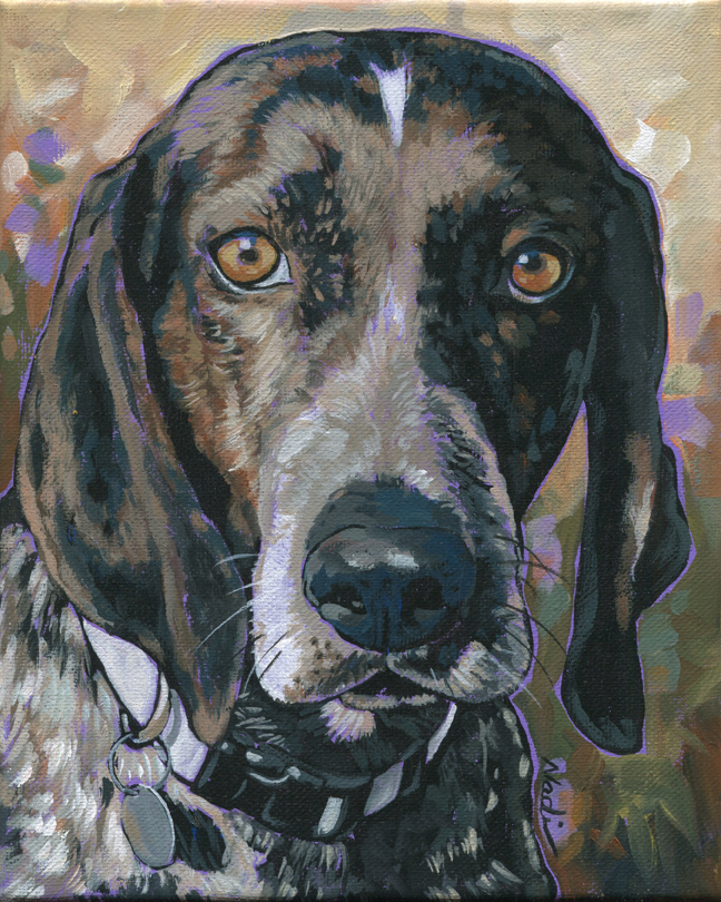 NS – Dogs, German Shorthaired Pointer – 19-68 Bayou 12×9 © Nadi Spencer