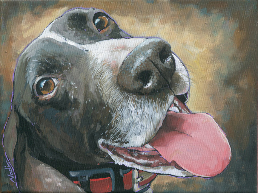 NS – Dogs, German Shorthaired Pointer – 21-49 Gertie 12×9 © Nadi Spencer