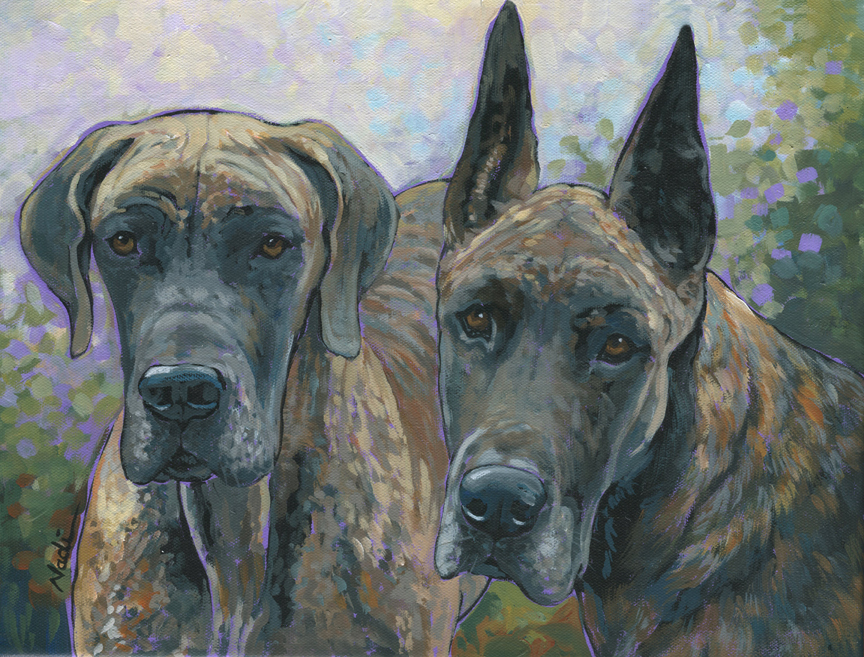 NS – Dogs, Great Dane – 18-102 Piper and Thea 12×16 © Nadi Spencer