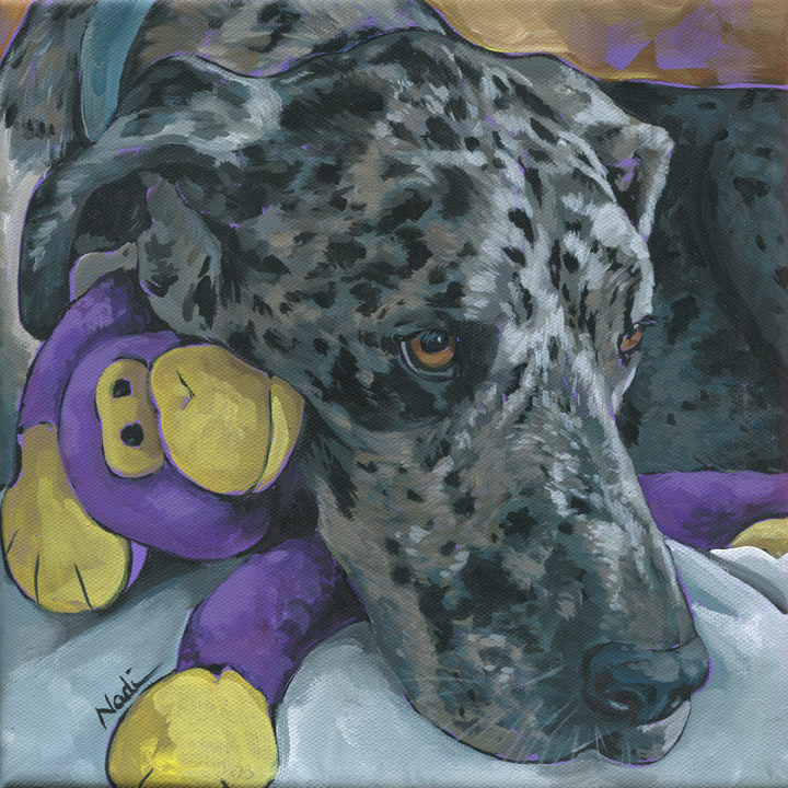 NS – Dogs, Great Dane – 18-95 Winchester 10 © Nadi Spencer