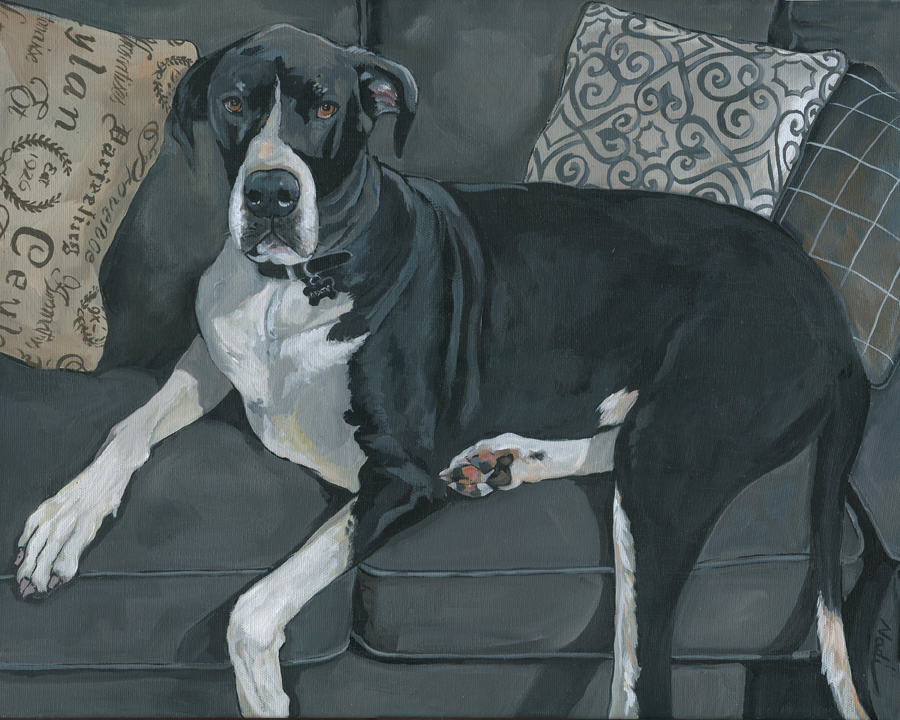 NS – Dogs, Great Dane – 20-121 Dexter 10×12 © Nadi Spencer