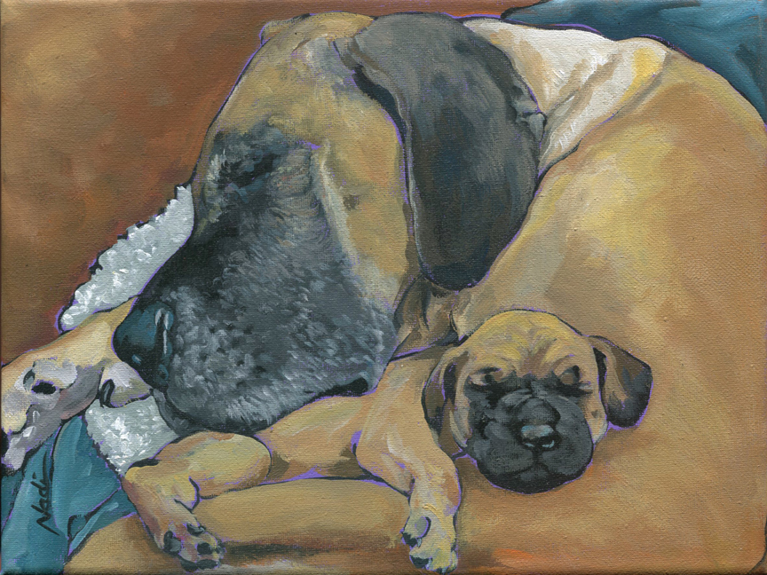 NS – Dogs, Great Dane – 20-33 Dane and Pup 9×12 © Nadi Spencer