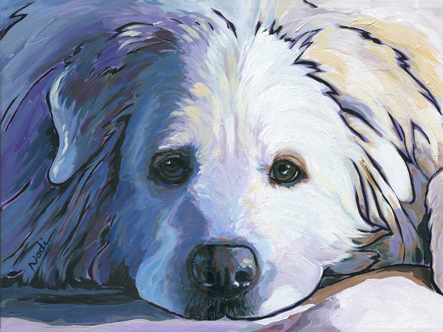NS – Dogs, Great Pyrenees – 13-88 Annie 12×16 © Nadi Spencer