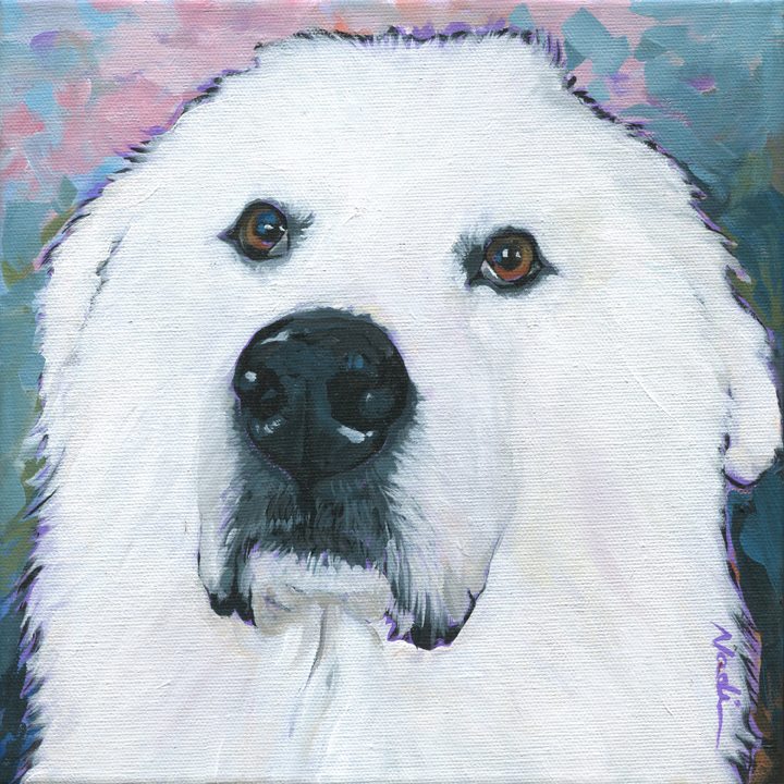 NS – Dogs, Great Pyrenees – 17-13 Bacchus 10×10 © Nadi Spencer