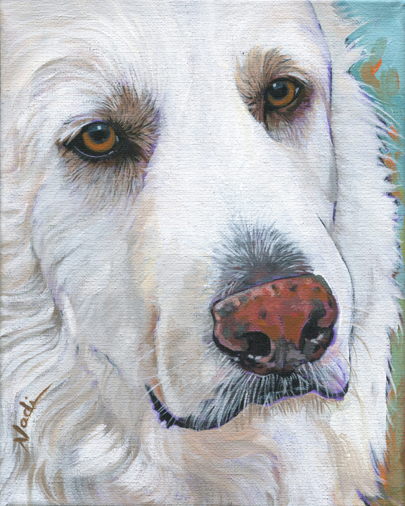 NS – Dogs, Great Pyrenees – 19-291 Great Pyrenees 12×9 © Nadi Spencer