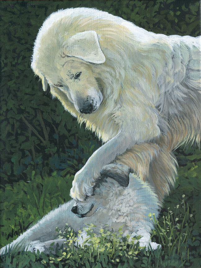 NS – Dogs, Great Pyrenees – 20-137 Pyr Paw 12×9 © Nadi Spencer