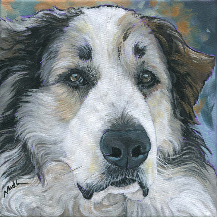 NS – Dogs, Great Pyrenees – 20-189 Pyr 10×10 © Nadi Spencer