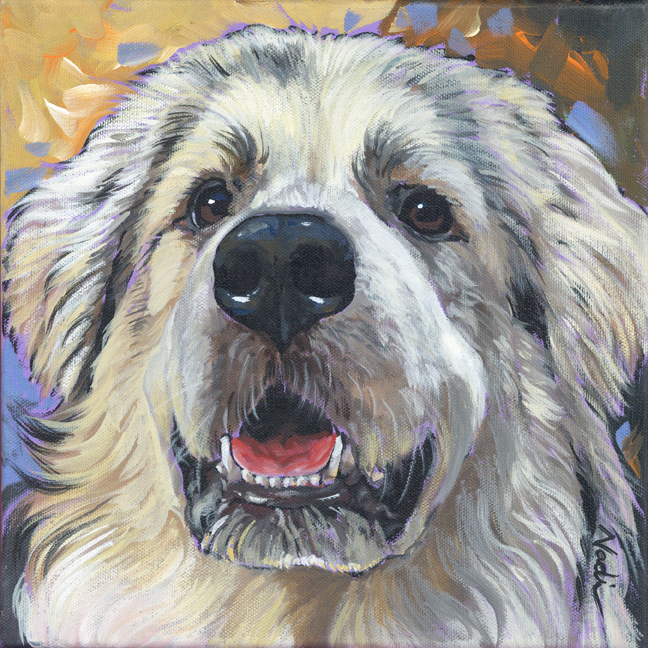 NS – Dogs, Great Pyrenees – 22-112 Pyr 10×10 © Nadi Spencer