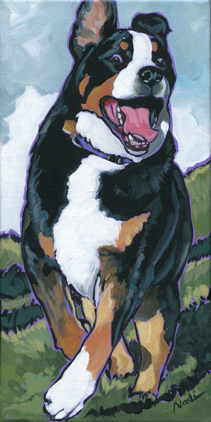 NS – Dogs, Greater Swiss Mountain Dog – 14-182 Amber 16×8 © Nadi Spencer