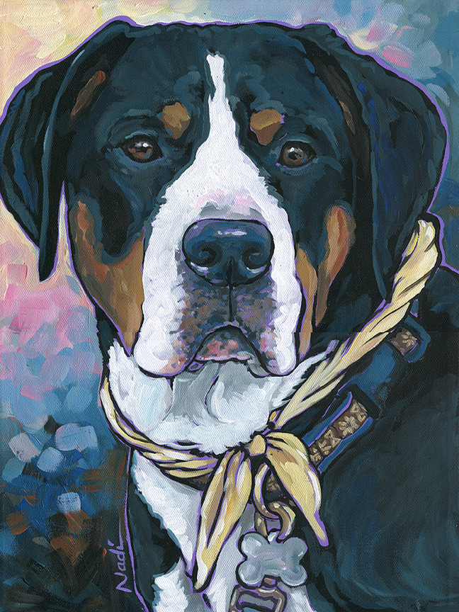 NS – Dogs, Greater Swiss Mountain Dog – 14-69 Katie 16×12 © Nadi Spencer