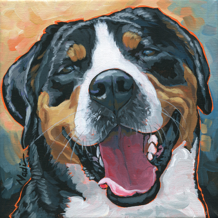 NS – Dogs, Greater Swiss Mountain Dog – 15-266 Zurich 10×10 © Nadi Spencer