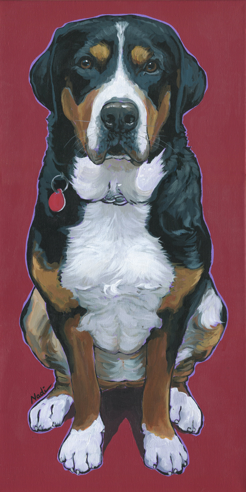 NS – Dogs, Greater Swiss Mountain Dog – 16-109 Cece 24×12 © Nadi Spencer