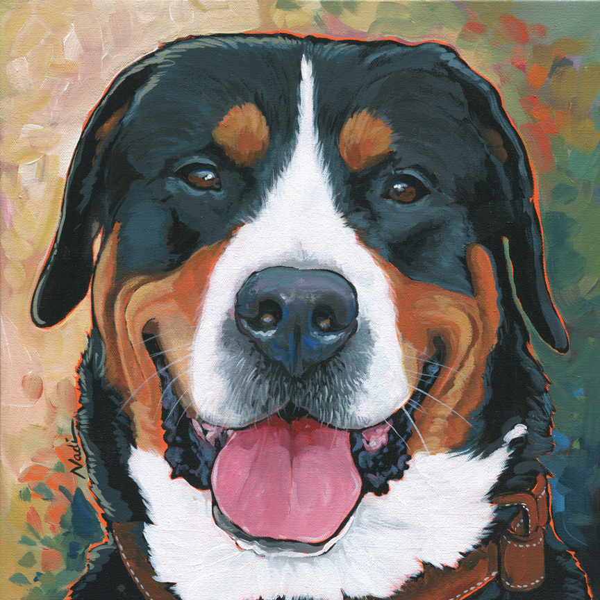 NS – Dogs, Greater Swiss Mountain Dog – 16-56 Dinero 16×16 © Nadi Spencer