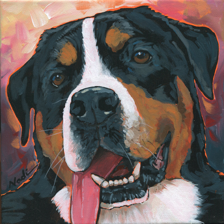 NS – Dogs, Greater Swiss Mountain Dog – 17-11 Remy 10×10 © Nadi Spencer