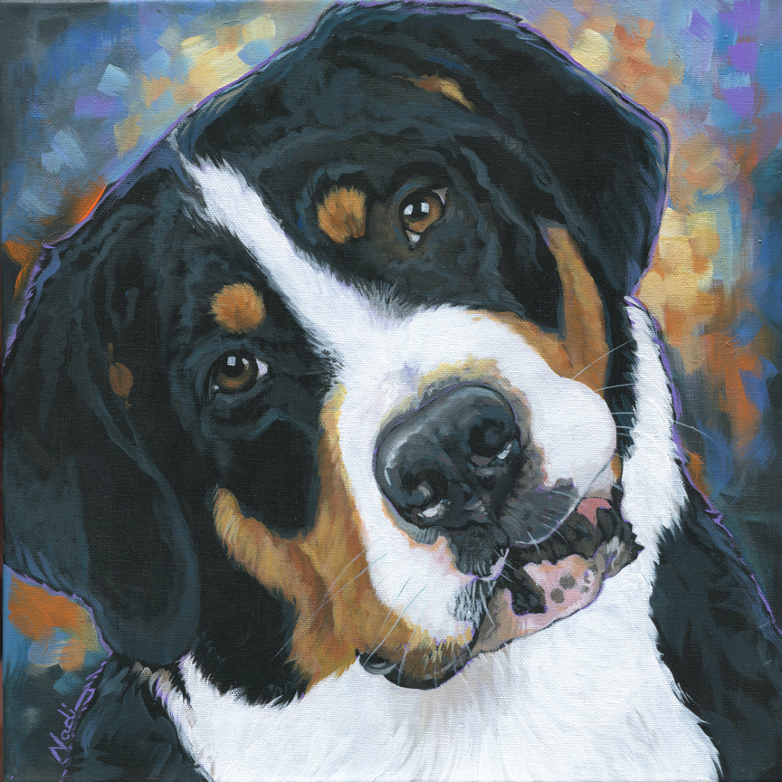 NS – Dogs, Greater Swiss Mountain Dog – 19-230 Groot 16×16 © Nadi Spencer