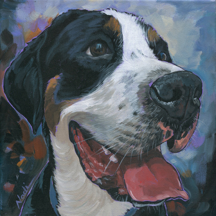 NS – Dogs, Greater Swiss Mountain Dog – 19-332 Livy 10×10 © Nadi Spencer