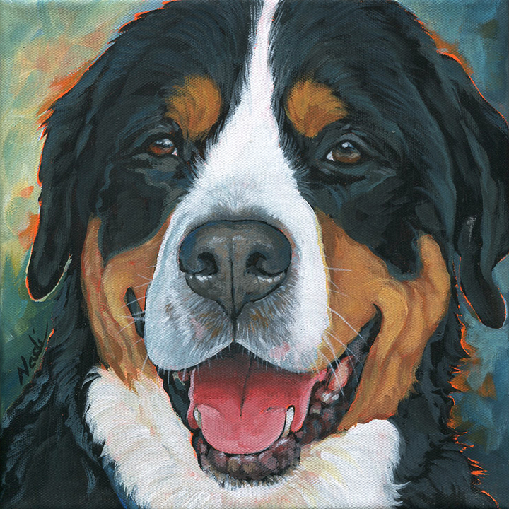 NS – Dogs, Greater Swiss Mountain Dog – 21-111 Aren 10×10 © Nadi Spencer