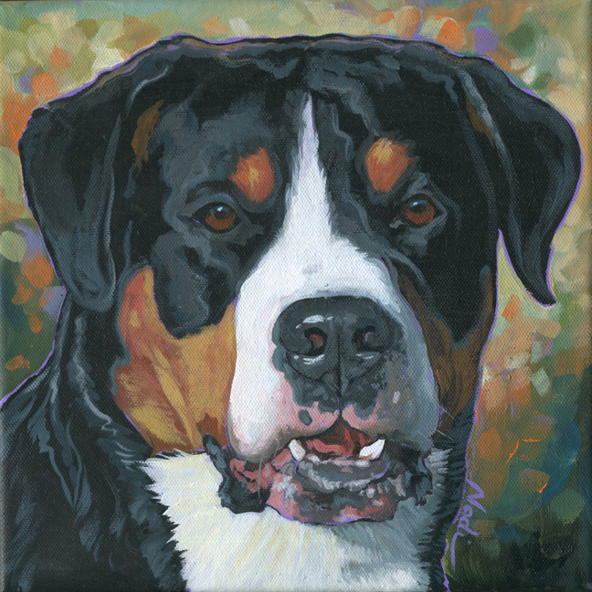 NS – Dogs, Greater Swiss Mountain Dog – 21-138 Izzy 10×10 © Nadi Spencer