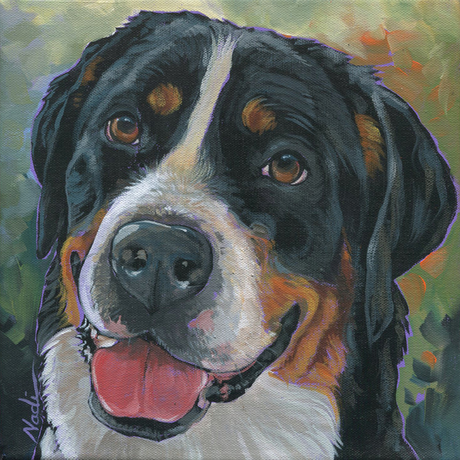 NS – Dogs, Greater Swiss Mountain Dog – 21-163 Beatrice 10×10 © Nadi Spencer