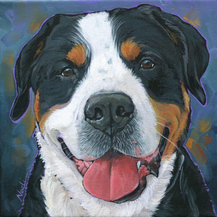 NS – Dogs, Greater Swiss Mountain Dog – 21-26 Sentry 10×10 © Nadi Spencer