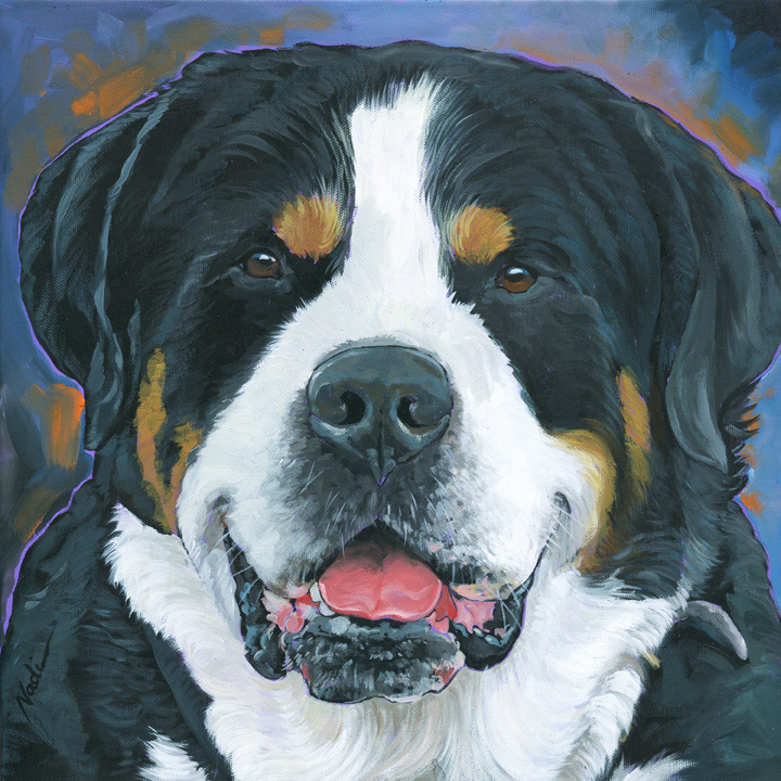 NS – Dogs, Greater Swiss Mountain Dog – 21-27 Bowie 10×10 © Nadi Spencer