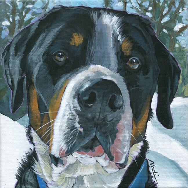 NS – Dogs, Greater Swiss Mountain Dog – 21-281 Drouhin 10×10 © Nadi Spencer