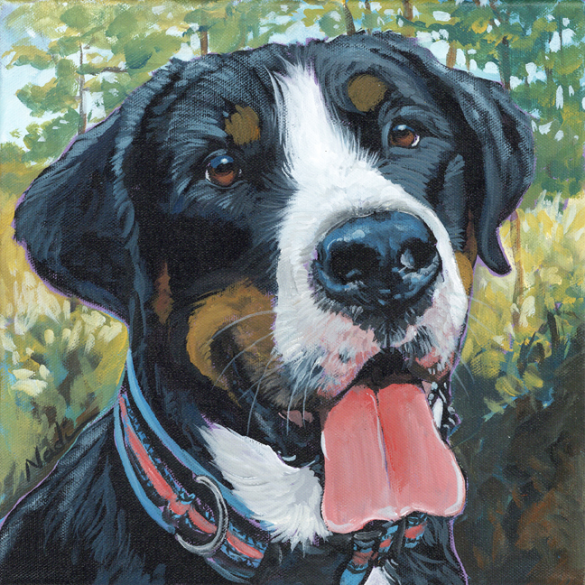 NS – Dogs, Greater Swiss Mountain Dog – 22-39 Ember 10×10 © Nadi Spencer