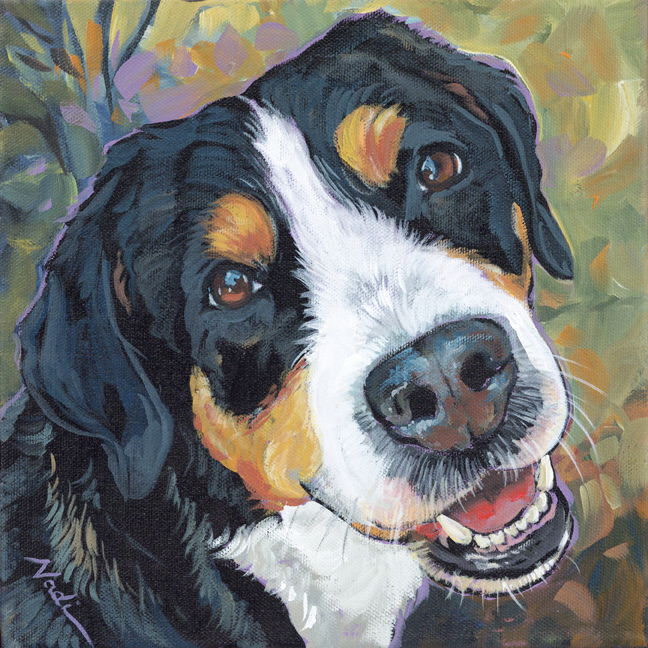 NS – Dogs, Greater Swiss Mountain Dog – 22-41 Timber 10×10 © Nadi Spencer