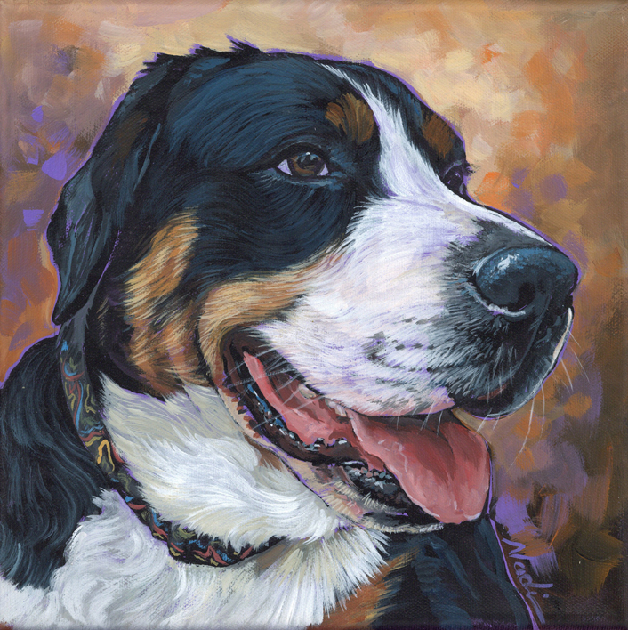 NS – Dogs, Greater Swiss Mountain Dog – 23-58 Davos 10×10 © Nadi Spencer