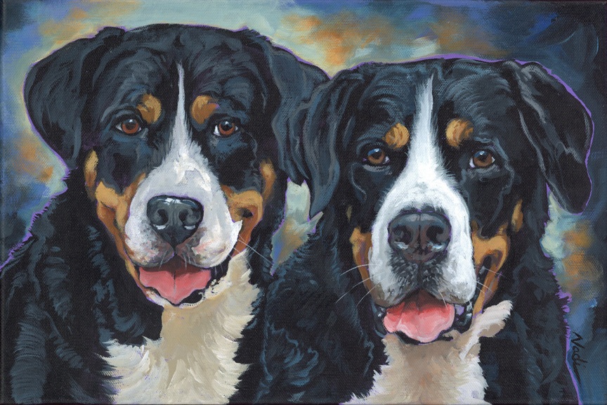 NS – Dogs, Greater Swiss Mountain Dog – 23-62 Ferris and Bueller 10×15 © Nadi Spencer