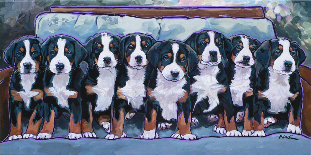 NS – Dogs, Greater Swiss Mountain Dog Puppies – 15-49 Swissie Pups 15×30 © Nadi Spencer