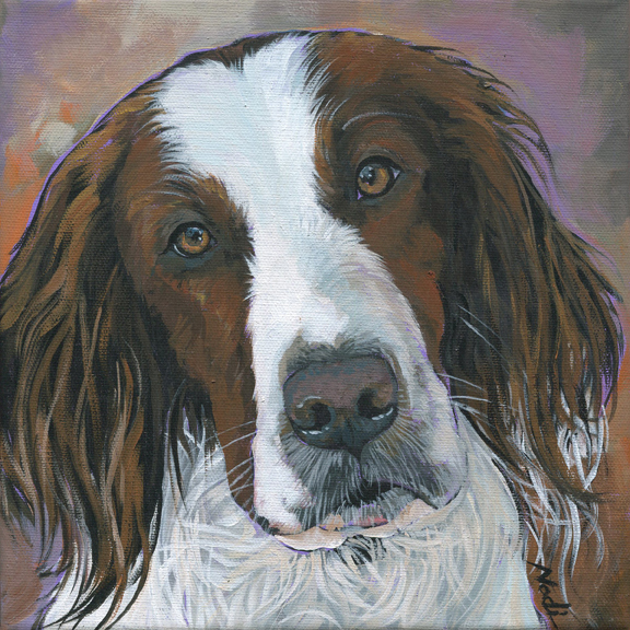 NS – Dogs, Irish Red and White Setter – 20-115 Rowan 8×8 © Nadi Spencer