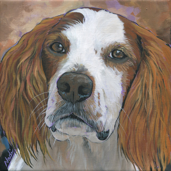 NS – Dogs, Irish Red and White Setter – 20-116 Holly 8×8 © Nadi Spencer