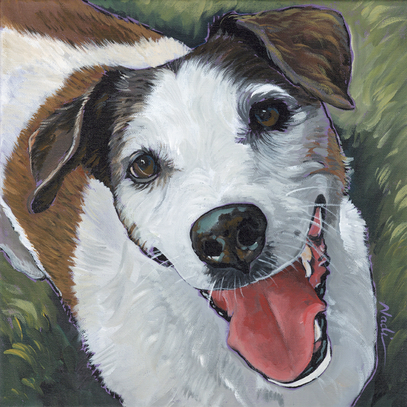 NS – Dogs, Jack Russel Terrier – 22-59 Jack Russell 12×12 © Nadi Spencer