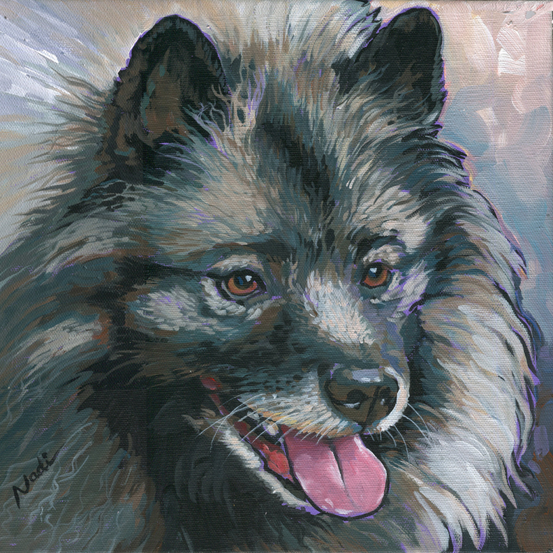 NS – Dogs, Keeshond – 14-116 Dolly 11×11 © Nadi Spencer