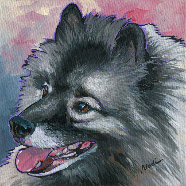 NS – Dogs, Keeshond – 14-117 Dixie 12×12 © Nadi Spencer